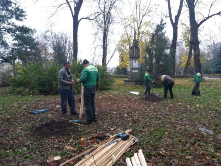 У Меморіальному сквері висадили 30 кленів (ФОТО)
