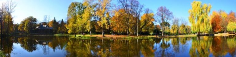Що цікавого в останню п’ятницю жовтня в Івано-Франківську