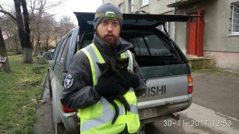 У Франківську “Муніципальна варта” врятувала двох кошенят (ФОТО)