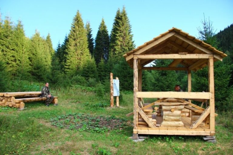 У Карпатах відновили два лікувальних джерела й облаштували місце відпочинку