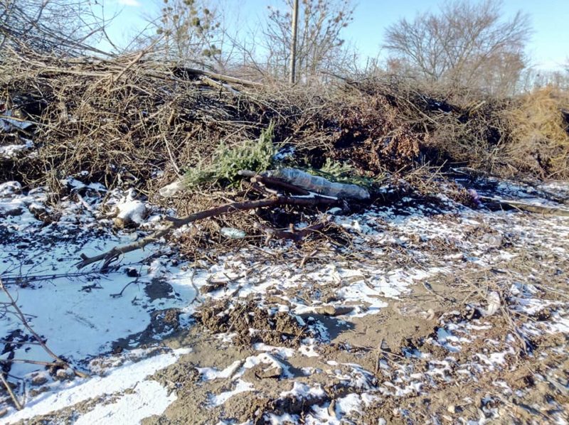 Головний комунальник міста похвалився правильно утилізованою ялинкою (ФОТО)