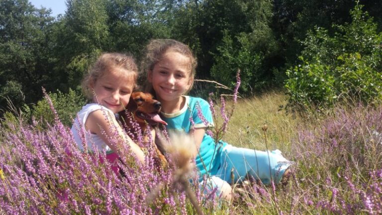 Песик Дзідзьо став улюбленцем франківської родини