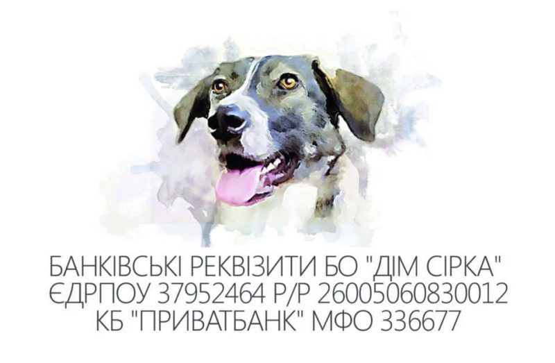 Триває збір коштів на відкриття власної ветеринарної клініки “Дому Сірка”
