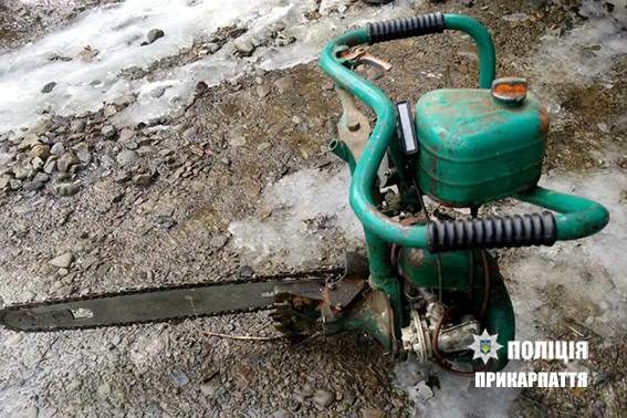Прикарпатцю загрожує до трьох років ув’язнення за вирубку граба