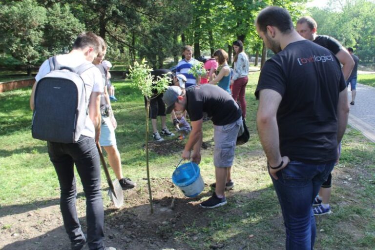 Франківська IT-компанія озеленює місто (ФОТО)