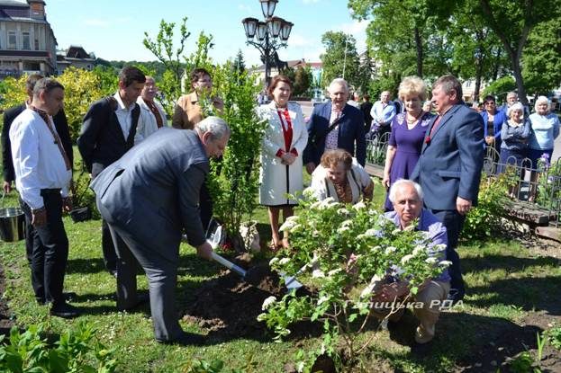 Калину з батьківщини митрополита Андрея Шептицького посадили у Галичі (ФОТО)