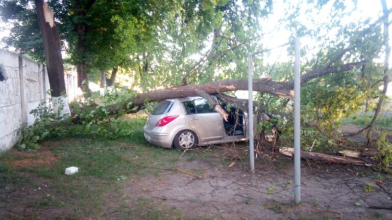 У машині, котру вчора під час негоди розчавило дерево, були люди (ФОТО)
