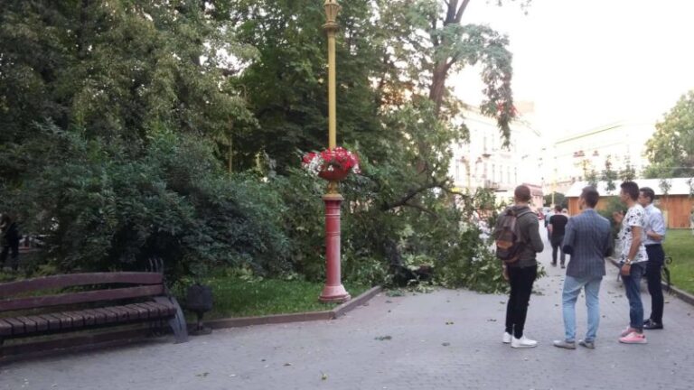 На лавку у центрі міста впала величезна гілка (ФОТО)
