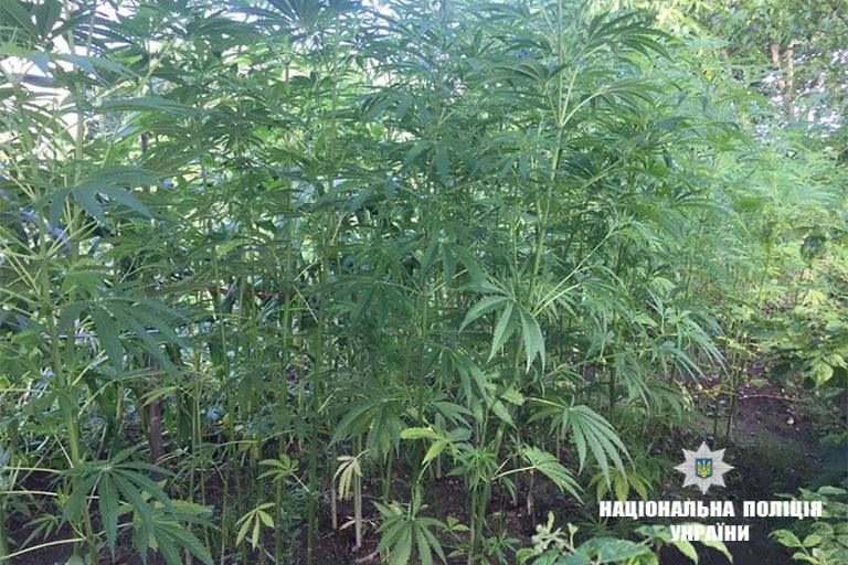 У калушанина виявили наркотиків на півмільйона (ФОТО)