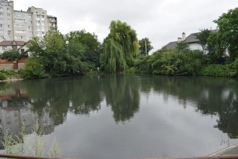 У франківській водоймі, де масово загинула риба, спустять воду (ФОТО)