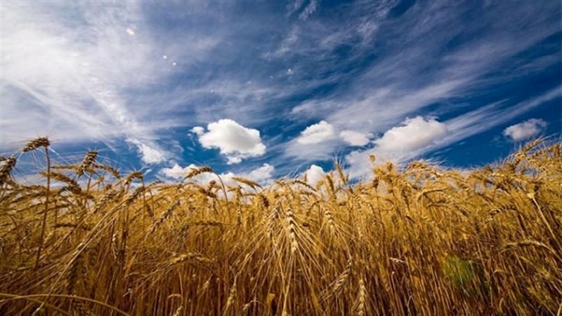 Прикарпатські аграрії почали більше заробляти