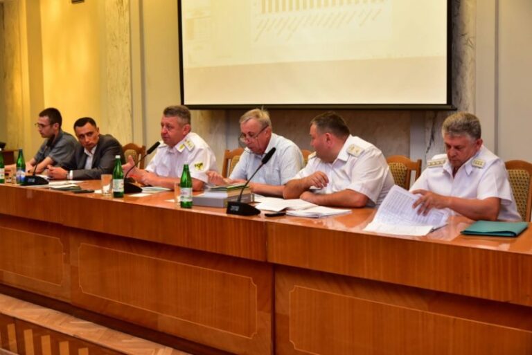 У цьому році на Прикарпатті висадили 2000 гектарів лісу (ФОТО)