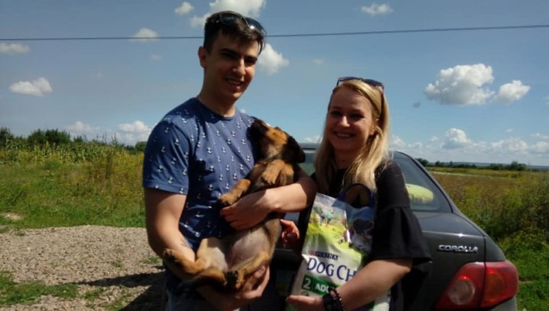 Молодята з Франківська замість весільних цукерок та квітів приймали корм для безпритульних тварин (ФОТО)