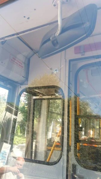 У центрі Франківська невідомий обстріляв тролейбус (ФОТОФАКТ)