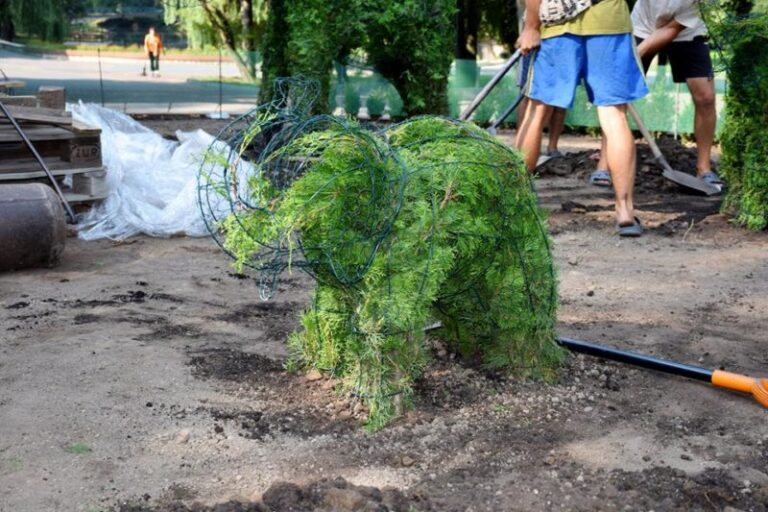 У франківському парку поселилася родина “слоників” (ФОТО)