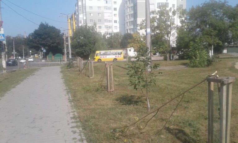 На Хіміків вандали поламали саджанці дерев (ФОТО)