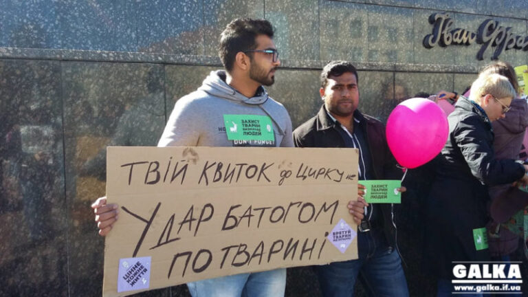 Міська рада подаватиме апеляцію, аби в місті й далі не виступали цирки з тваринами