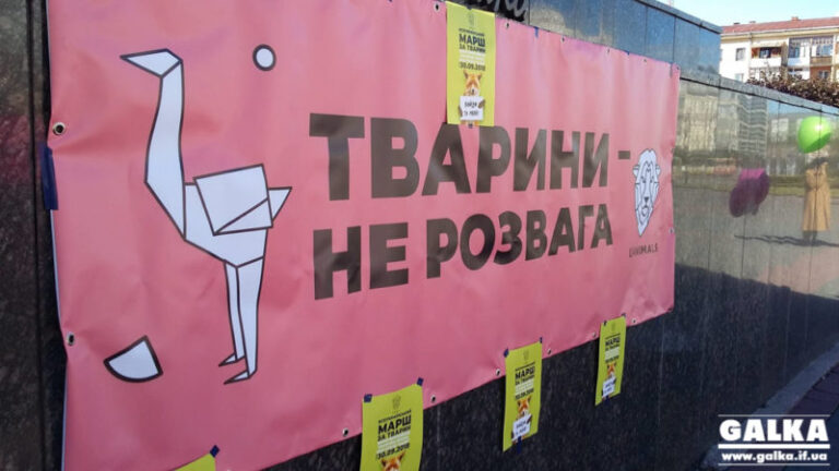 У Франківську суд скасував заборону на пересувні цирки з тваринами