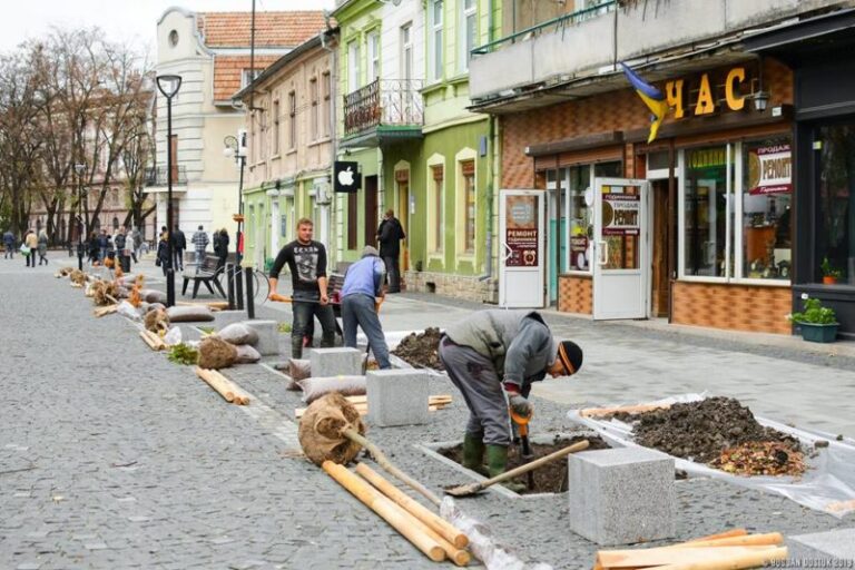 У середмісті Франківська висаджують молоді клени (ФОТО)
