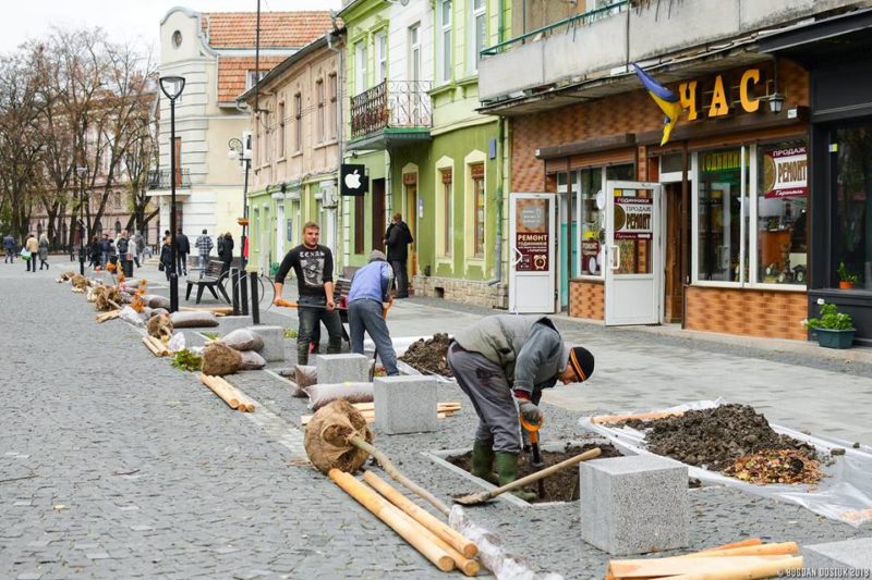 У середмісті Франківська висаджують молоді клени (ФОТО)