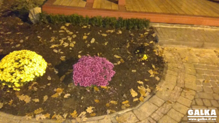 З-під нової “східної альтанки” у міському парку вже вкрали висаджені квіти (ФОТО)