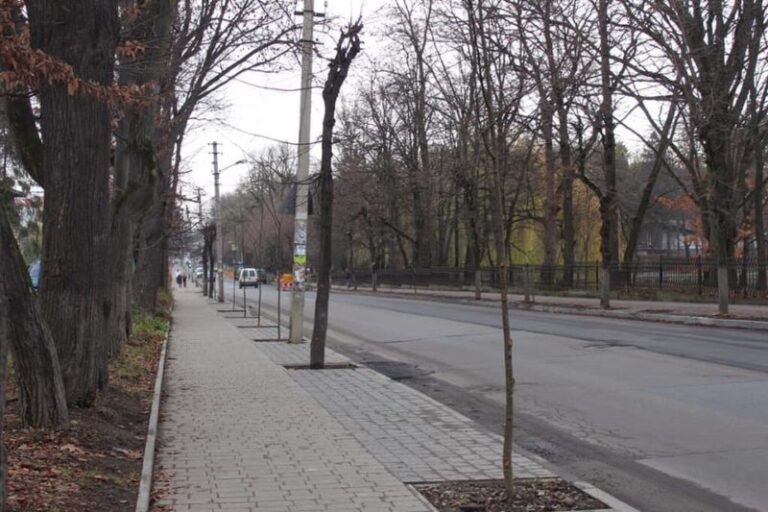 Франківські комунальники продовжують озеленювати місто: посадили липи, ялинки та акацію (ФОТО)