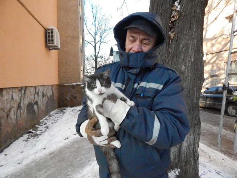 Як МАРСіани у Франківську переляканого кота з дерева знімали (ФОТО, ВІДЕО)