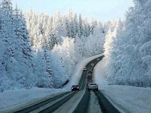 Перевали у Карпатах засипало снігом