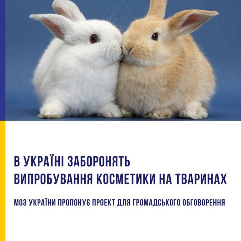 МОЗ хоче заборонити випробування косметики на тваринах та шкідливі консерванти