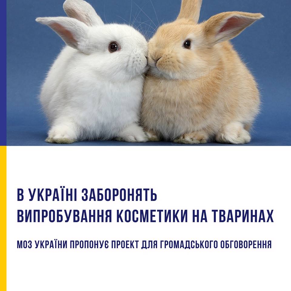 МОЗ хоче заборонити випробування косметики на тваринах та шкідливі консерванти