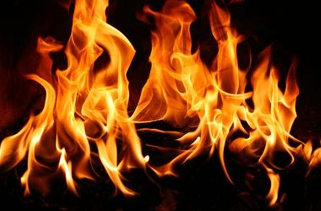 Житлові будинки, дерево та господарські будівлі горіли минулої доби на Прикарпатті