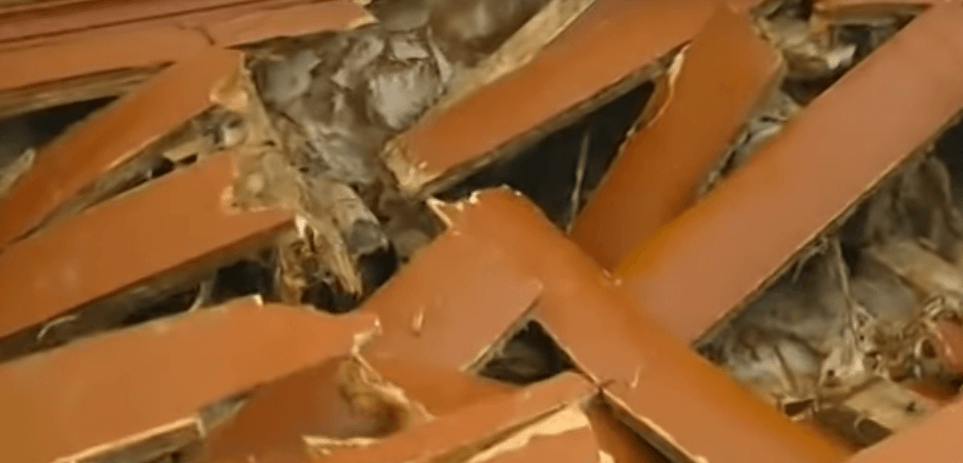 Вихованці прикарпатського дитсадка масово хворіють через грибок (ВІДЕО)