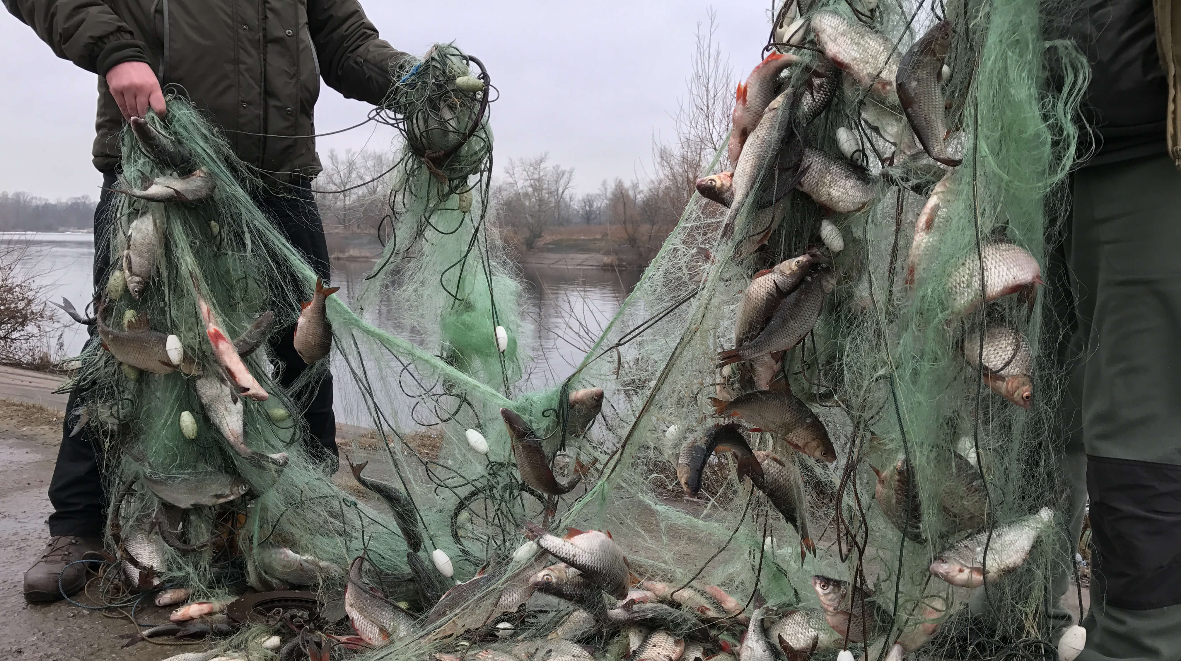 Франківці можуть анонімно повідомити про браконьєрство на водоймах 