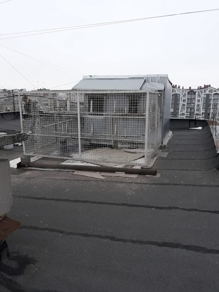 У франківській багатоповерхівці любителі голубів продірявили дах (ФОТО)