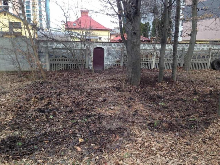 Франківський господар прибрав сміття, яке зі свого подвір’я викинув у парк Шевченка (ФОТО)