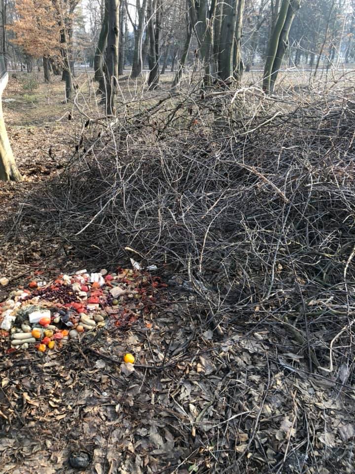 Франківці прибирають свої подвір’я, а сміття викидають у міський парк (ФОТО)
