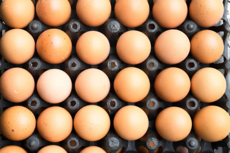 Галка рекомендує: 11 найкорисніших продуктів на планеті