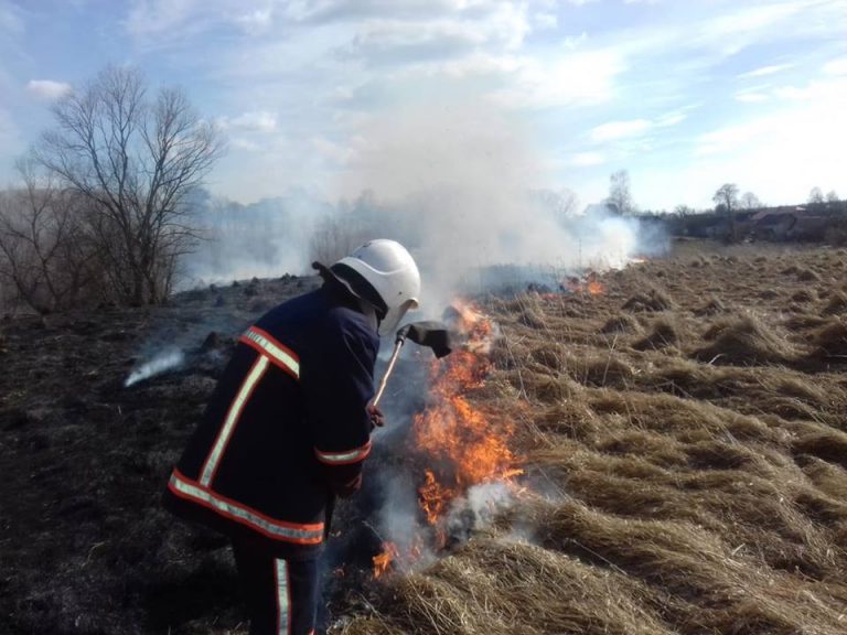 За добу на Прикарпатті трапилося пів сотні пожеж сухої трави: горіло кладовище й територія поблизу нафтогазового підприємства