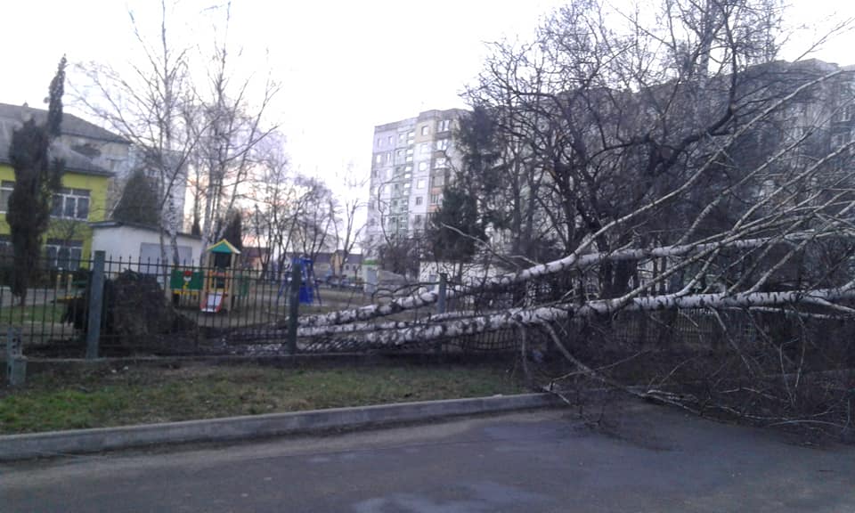 Повалені дерева та зірвані дахи. На Франківщині шквалистий вітер наробив збитків (ФОТО)