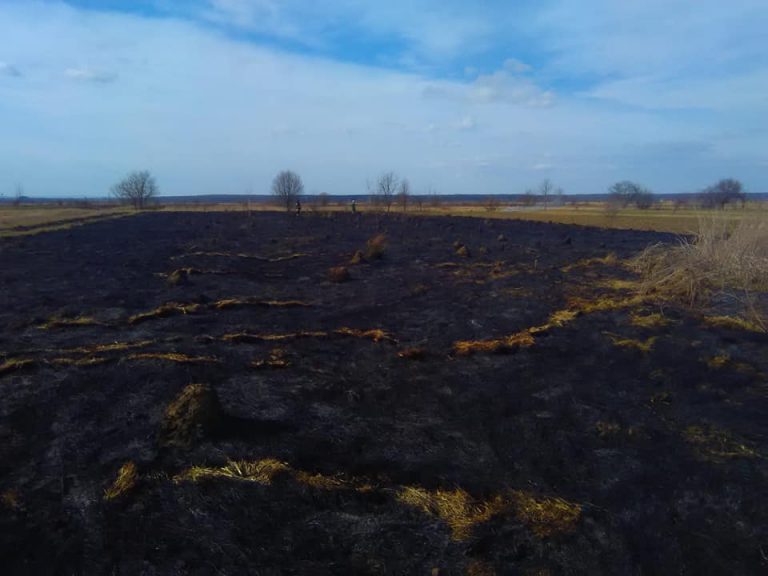 Прикарпатці продовжують масово палити траву. Рятувальники закликають зупинитися