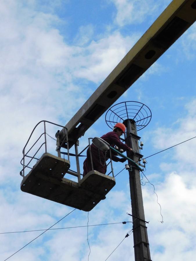 Прикарпатські енергетики укріплюють гнізда лелек спеціальною конструкцією (ФОТО)