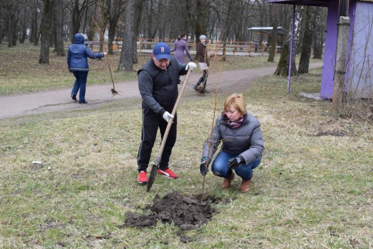 Понад 300 дерев висадили небайдужі рогатинці у місцевому парку (ФОТО)