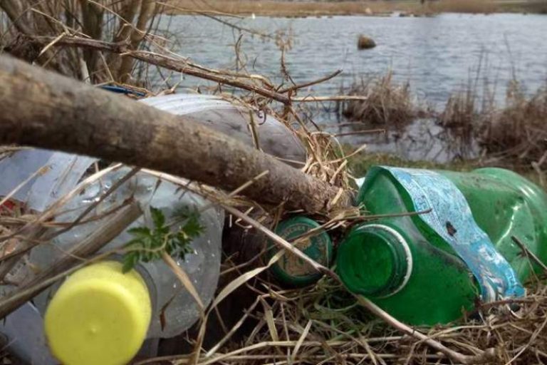 На Франківщині проведуть акцію з прибирання берегів водойм. Небайдужих запрошують долучитися