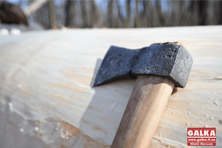 Прикарпатця підозрюють у незаконних рубках дубів на мільйони гривень