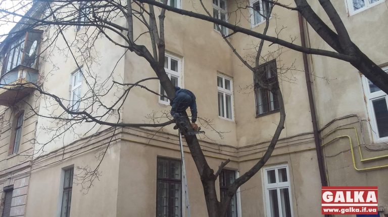 Біля Фортечного провулку загін МАРСіан рятував кота (ФОТОФАКТ)