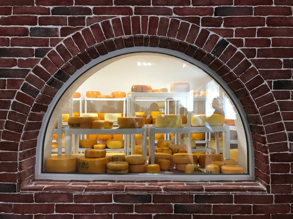 Австрійський, голландський, французький. Як на Буковині селяни самі варять сири за європейськими рецептами (ФОТО)