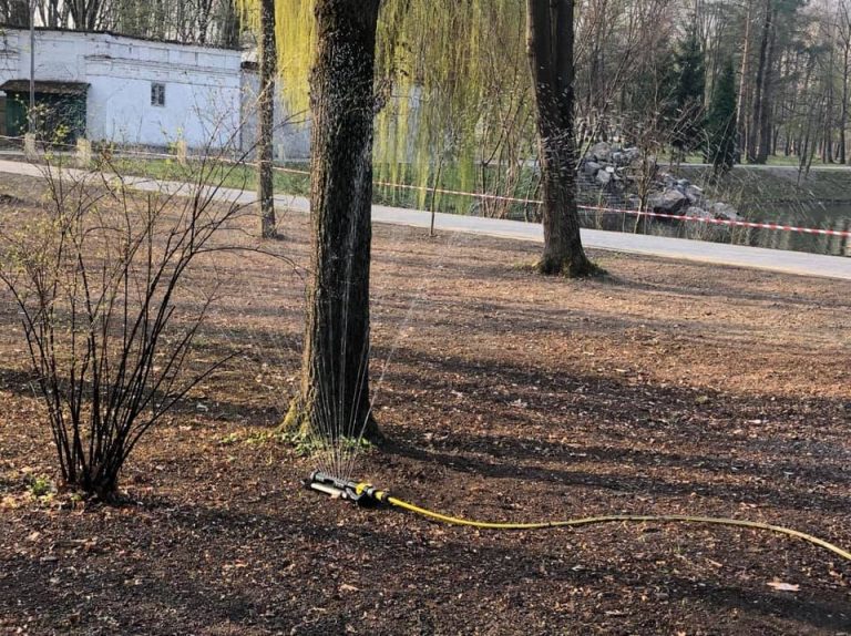 Як у міському парку відновлюють газони (ФОТО)