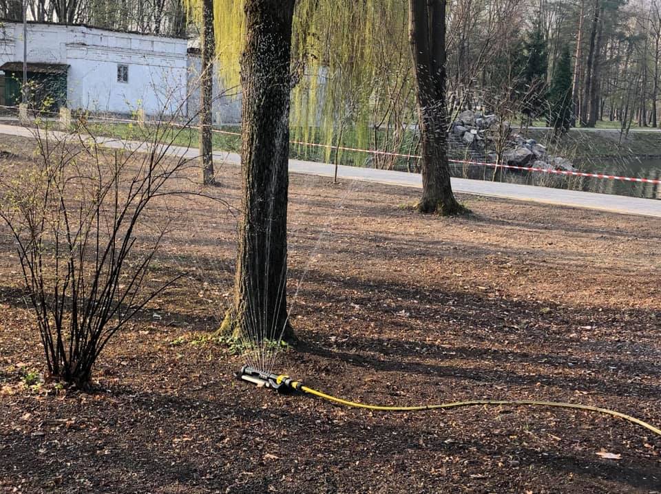 Як у міському парку відновлюють газони (ФОТО)