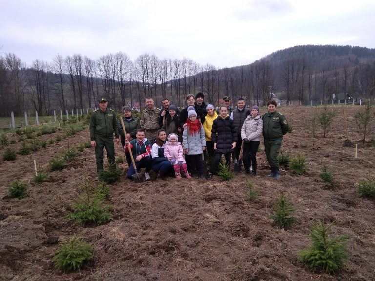 На Болехівщині висадили понад тисячу саджанців хвойних дерев (ФОТО)