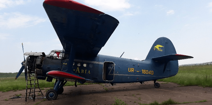 На Франківщині із залученням авіації вакцинують диких тварин